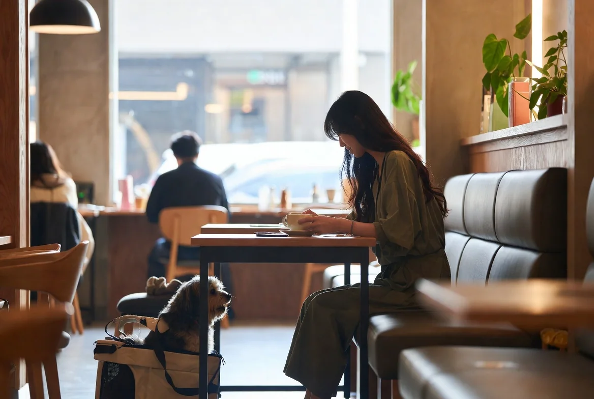 A calm, private daily companion.